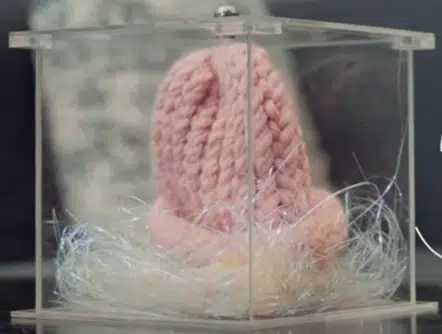 HAT