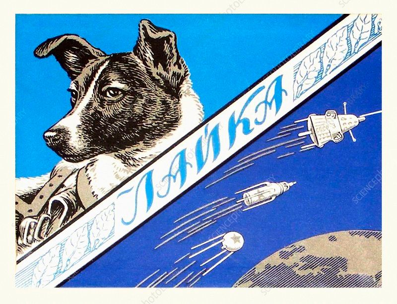 LAIKA