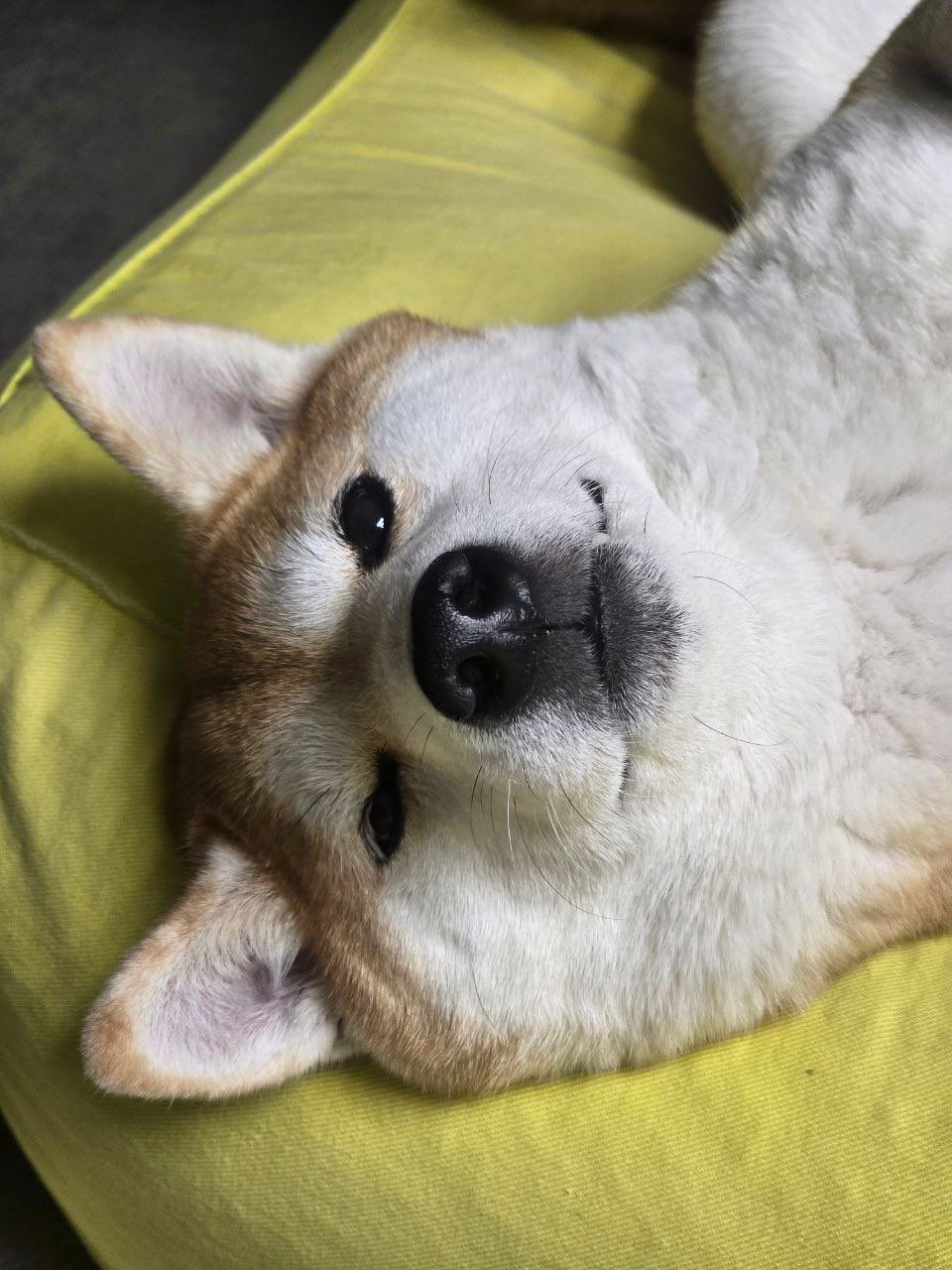 ACHI