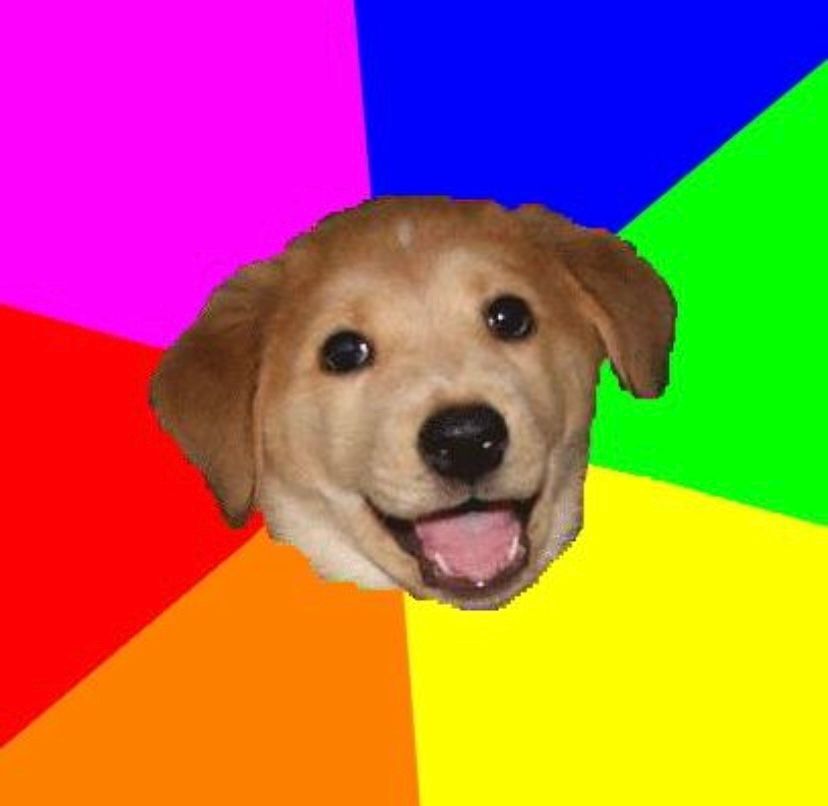 First Meme Dog