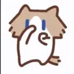Billetera toyoki dance cat