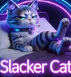 Slacker Cat