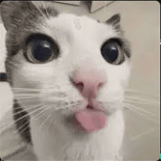 MEOW
