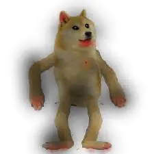 DM