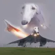 borzoiplane 钱包