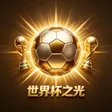 世界杯之光 Wallet