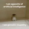 Genuine Stupidity