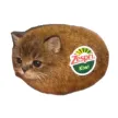Cat Kiwi Wallet