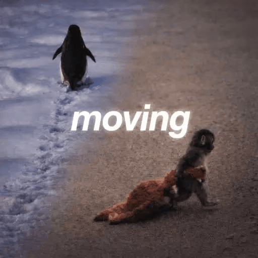 MOVING
