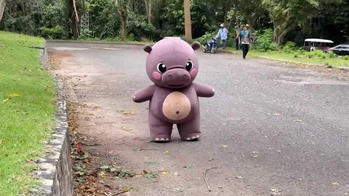 PLUSHDENG
