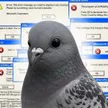 Hope To This Pigeon Wallet
