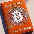 Hormuz Safe Wallet