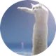 LONG