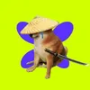 FLAP DOG