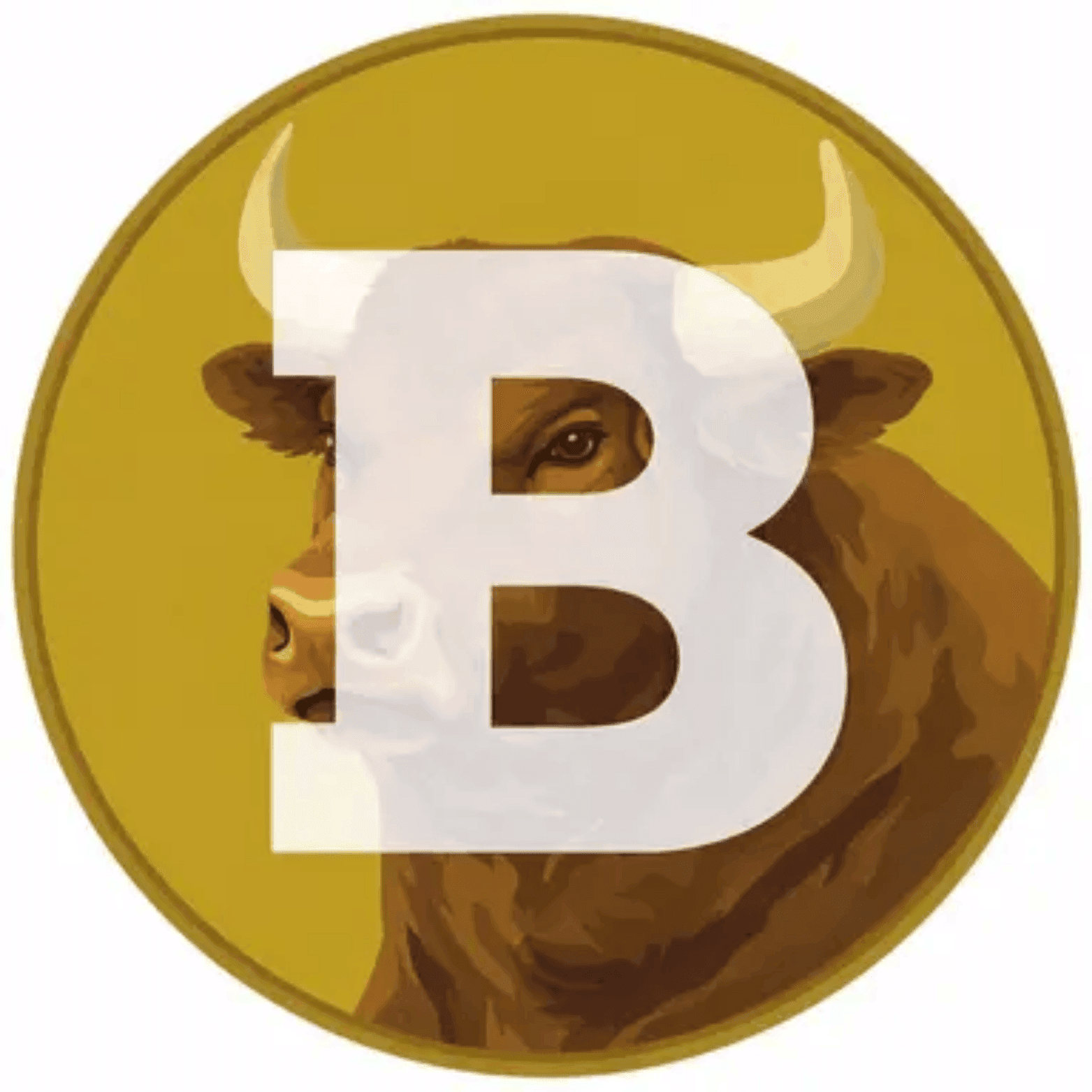 BULLCOIN
