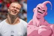 Majin Buuland 钱包