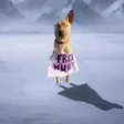 The Immortal Dog 钱包