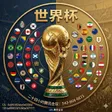 迷你世界杯 Wallet