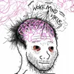 Woke Mind Virus 钱包