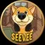 Eevee the Shiba