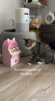 Portafoglio The Gambling Cat