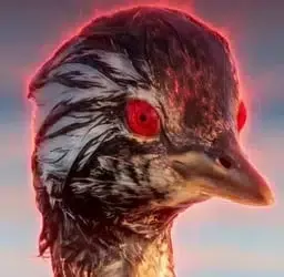 Sharingan Bird