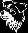 Woofi the genius dog