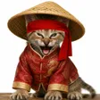 China Kitten Crew Wallet