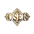 ‌Ví USER