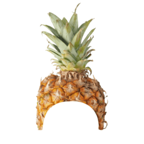PINEAPPLE