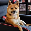 Kintaro 钱包