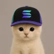 los 钱包