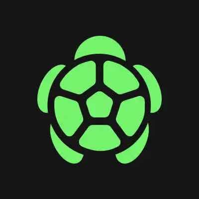 TURTLESOL token on Solana