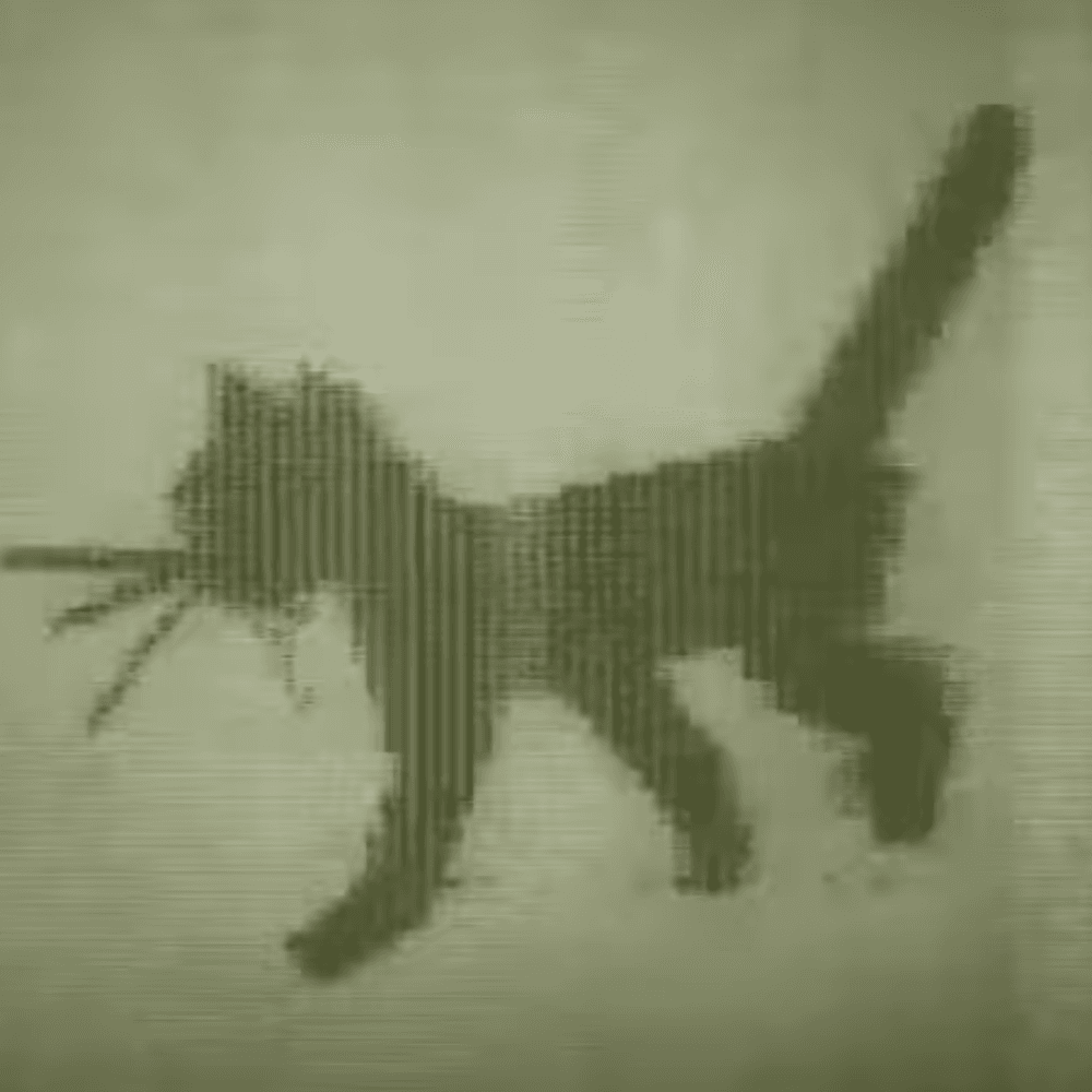 KITTY