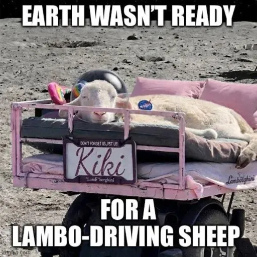 Kikis Lambo 钱包