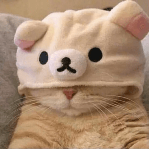 sallycat