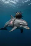 mine carrying dolphins