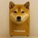TOSHIBA