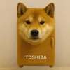 TOSHIBA