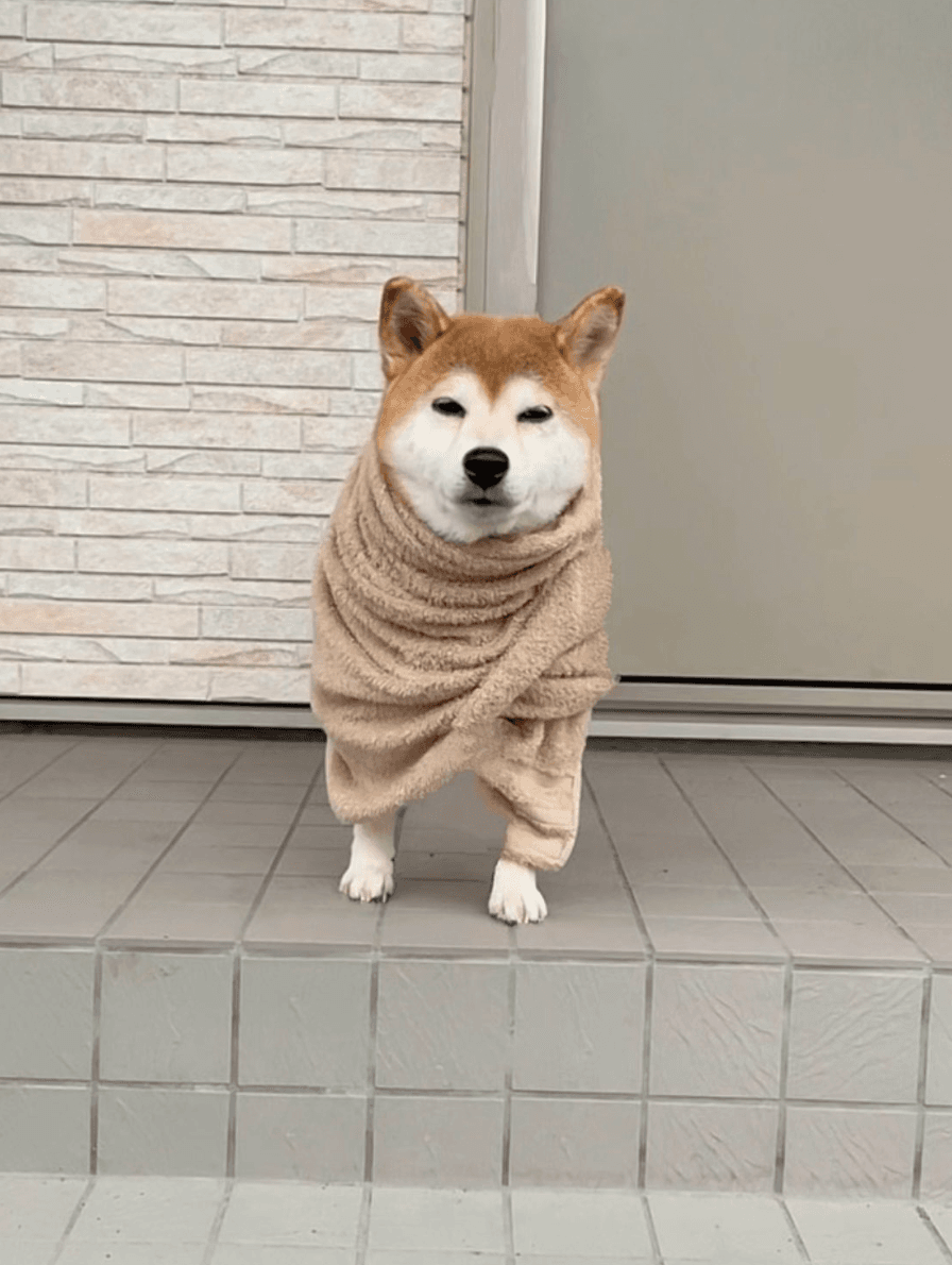 WBONK