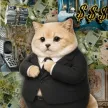 fatcat Wallet