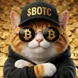 BOUTY THE CAT 钱包