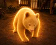 白熊猫 Wallet
