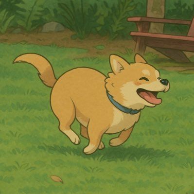Zoomie token on Solana