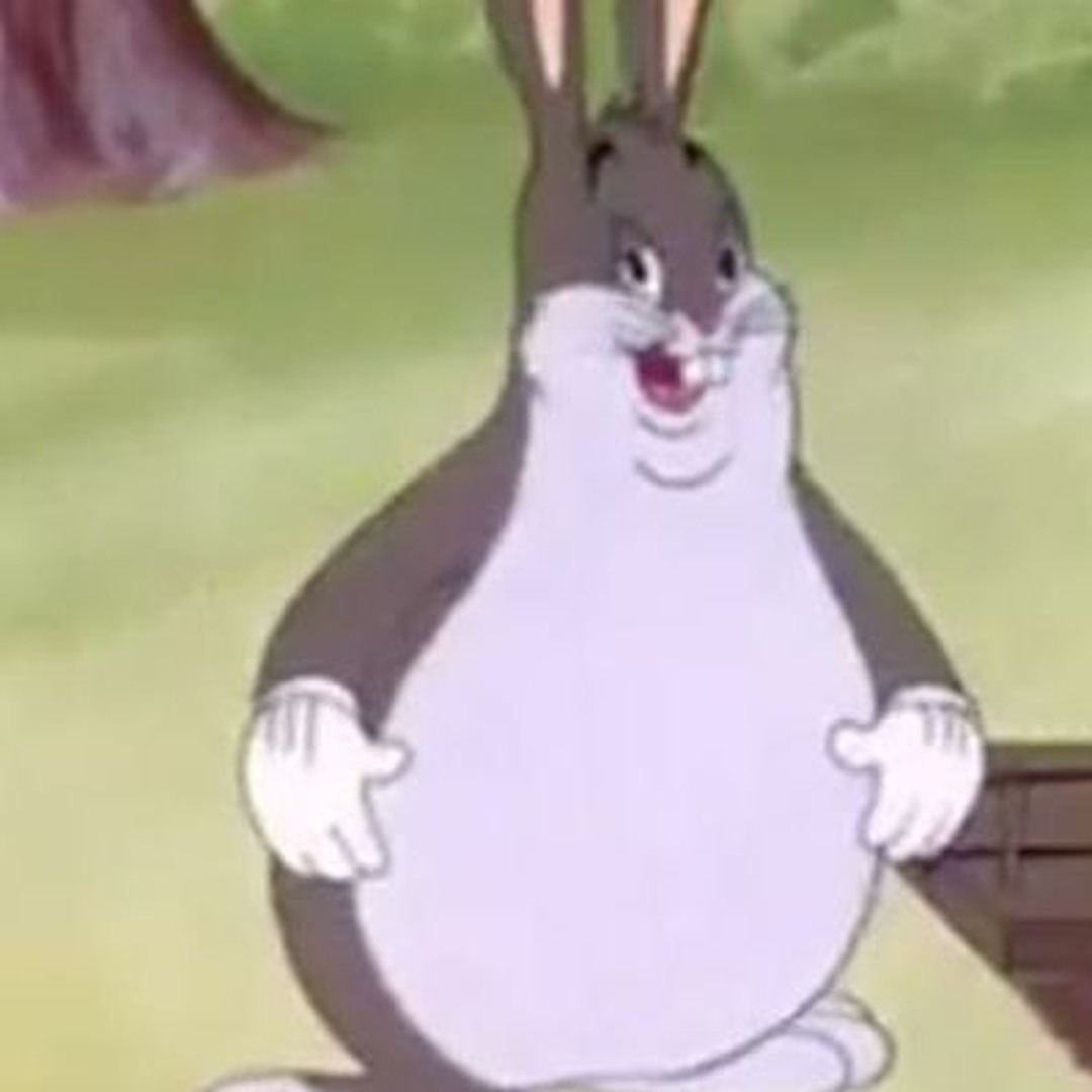 prix-de-big-chungus-aujourd-hui-graphique-chungus-usd-acheter-chungus