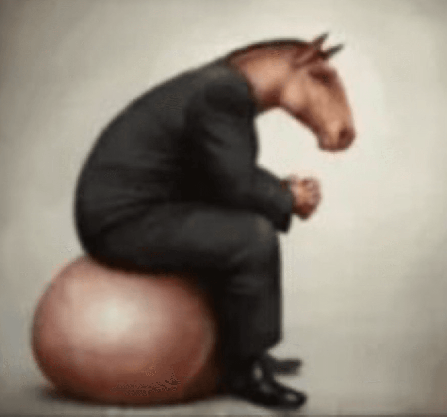 HORSESACK