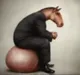 HORSESACK