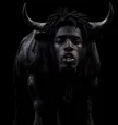 The Course Bull 钱包