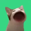 ‌Ví Bwop