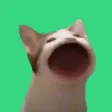 ‌Ví Bwop